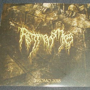 Promo 2018