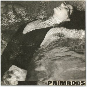 Image for 'The Primrods'