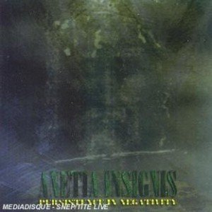 Anetia Insignis 的头像