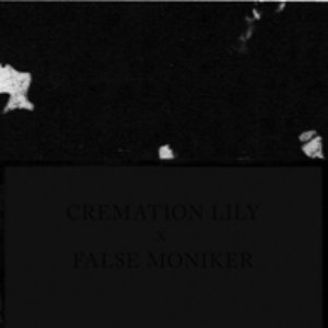 Avatar for Cremation Lily x False Moniker