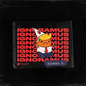 Ignoramus