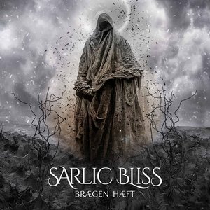 “Brægn Hæft”的封面