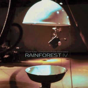 Rainforest IV