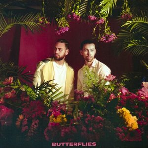 Butterflies - Single