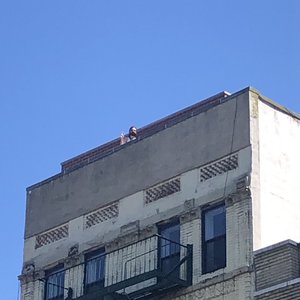 Golden Hallway Music のアバター