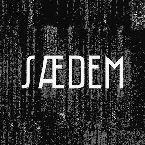 SÆDEM 的头像