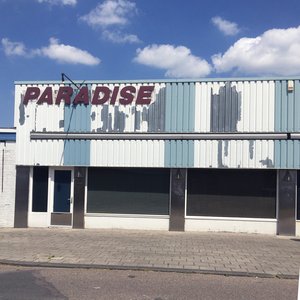 Paradise - Single