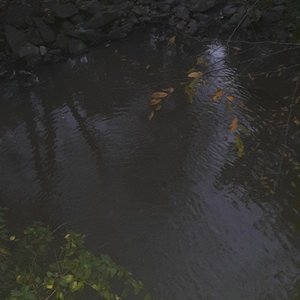 rain on me (remix)