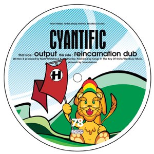 Output / Reincarnation Dub