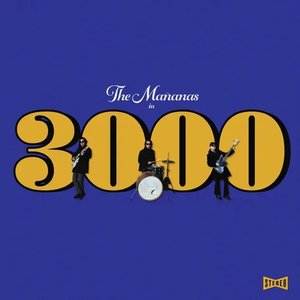 3000