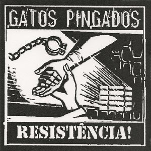 Gatos Pingados 的头像