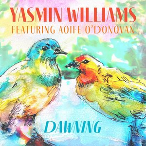 Dawning (feat. Aoife O'Donovan, Kafari & Nic Gareiss) - Single