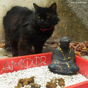 Gato Negro