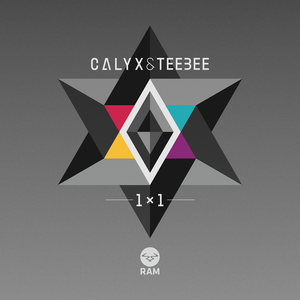 1x1 cover