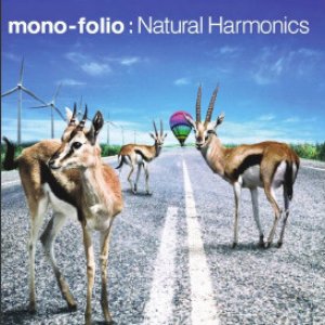 Natural Harmonics