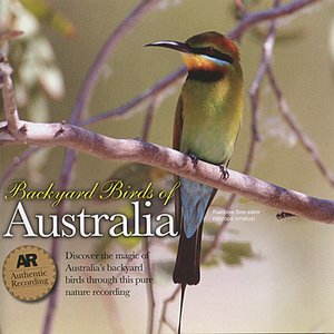 Backyard Birds of Australia