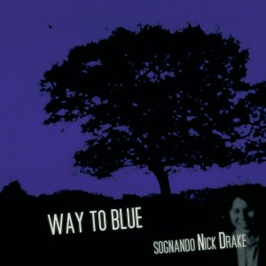 Way To Blue - Sognando Nick Drake