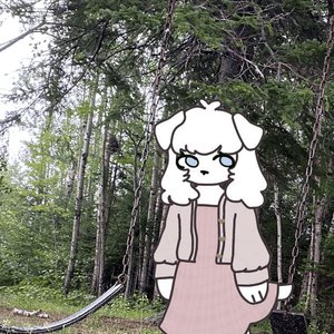 gloomy dog 的头像