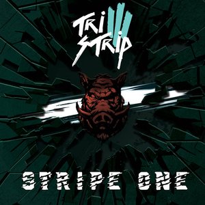 Stripe One