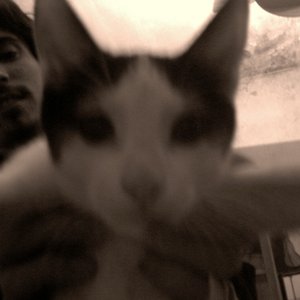 Avatar for Pics Frunks