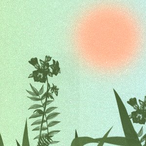 irisgrove 的头像