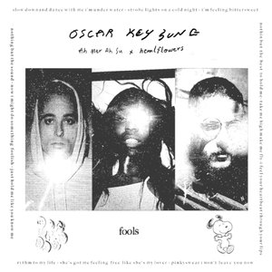 Fools (feat. Ah-Mer-Ah-Su & HTMLflowers) - Single
