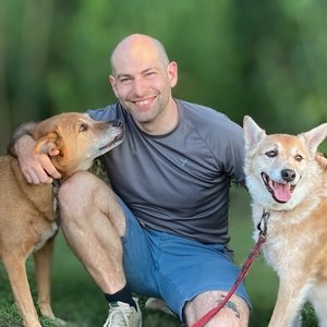 David Shapiro 的头像