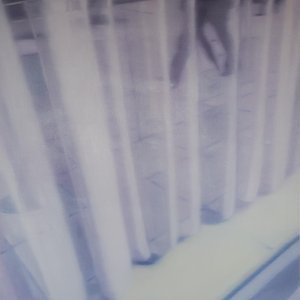 Suite: Reflection / Reverb