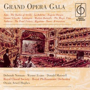 Grand Opera Gala