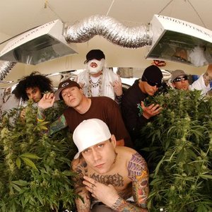 Kottonmouth Kings için avatar