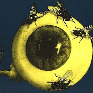 Avatar for Spider Eyes