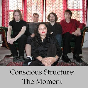 “Conscious Structure”的封面