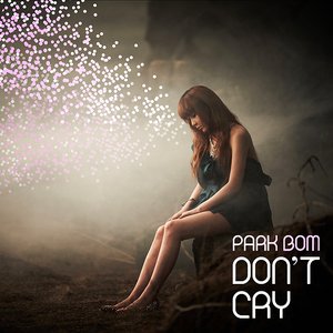 “DON'T CRY (Digital Single)”的封面