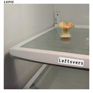 Leftovers