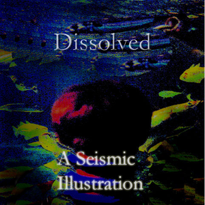 A Seismic Illustration cover