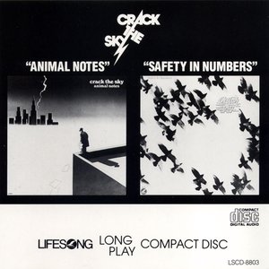 Animal Notes / Safety in Numbers