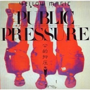 PUBLIC PRESSURE 公的抑圧