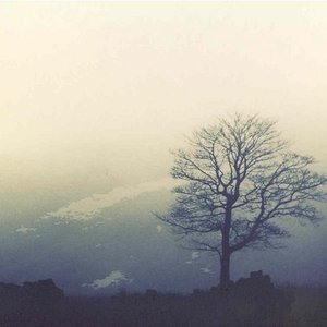 Hidden Landscapes