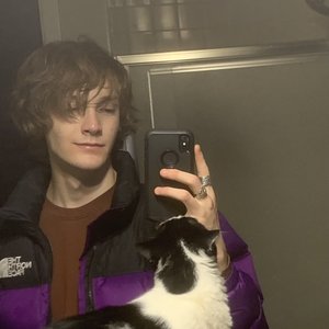 Avatar for Fullzies