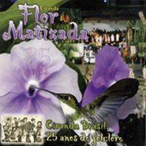 Ciranda Brasil 25 Anos de Folclore