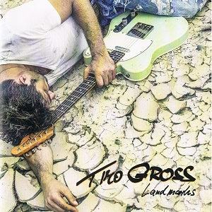 Timo Gross - Landmarks - Zortam Music