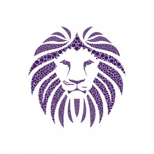 Lion - Single