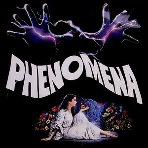 “Phenomena”的封面