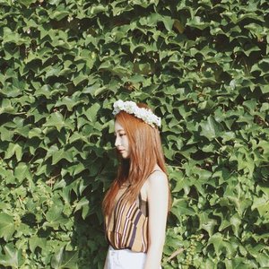 더 데이지 için avatar