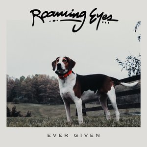 Ever Given