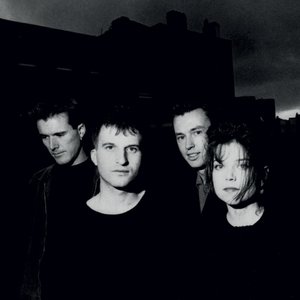 The Sundays のアバター