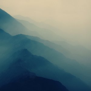Innertia 的头像