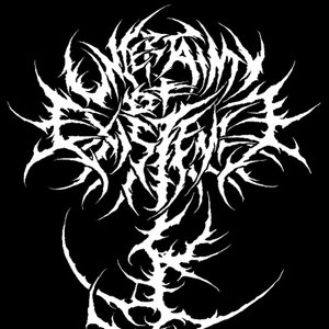 UNCERTAINTY OF EXISTENCE 的头像