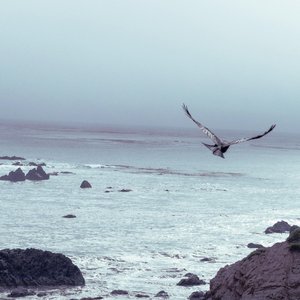 The Storm