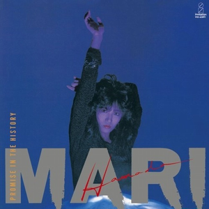PROMISE IN THE HISTORY cover